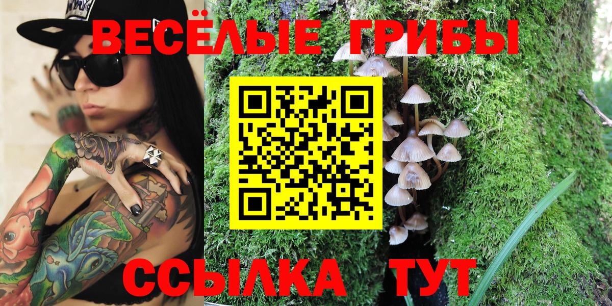Галлюциногенные грибы ЛСД Россия