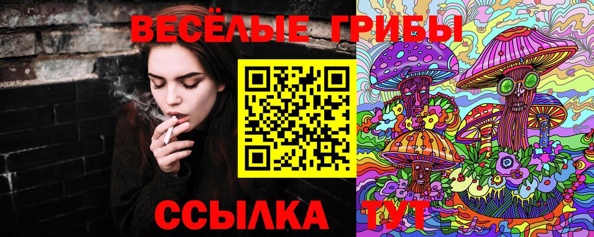 Псилоцибиновые грибы мухоморы  Вход с VPN  Россия 